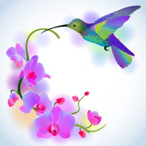 Gifting Your Child Hummingbird