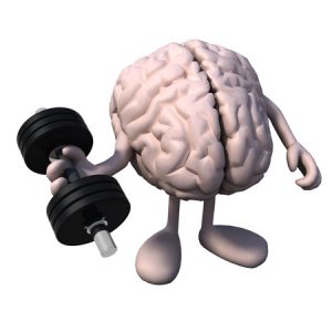Brain Building Muscle